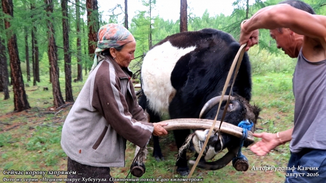 Часть 7. «Пешком вокруг Хубсугула. Одиночный поход в 400 километров». (Путешествия, Рудольф Кавчик, монголия)