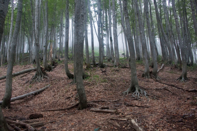 О горной «тридцатке» замолвите слово (Горный туризм)