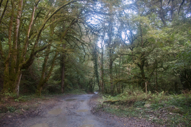 О горной «тридцатке» замолвите слово (Горный туризм)