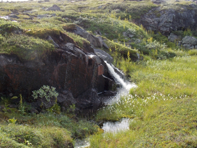 Поморский берег. (Вода, морской каякинг, кольский полуостров, баренцево море)