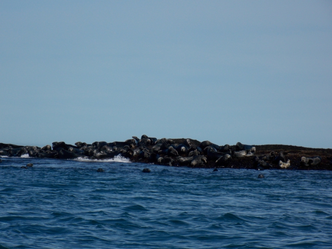 Поморский берег. (Вода, морской каякинг, кольский полуостров, баренцево море)