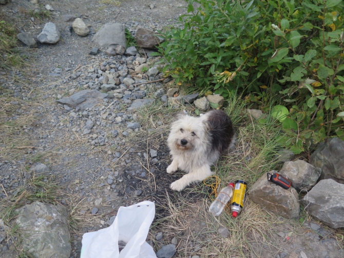 Нам бы карт и прорвались бы. (Горный туризм, Казбек с севера.)