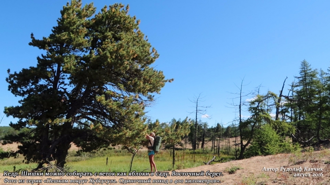 Часть 8. «Пешком вокруг Хубсугула. Одиночный поход в 400 километров». (Путешествия, Рудольф Кавчик, монголия)