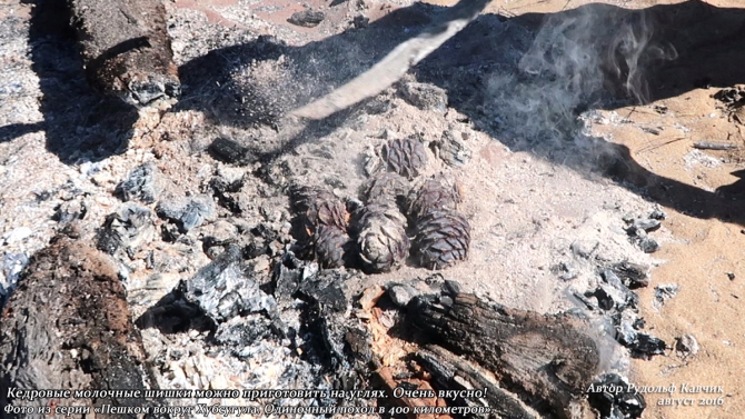 Часть 8. «Пешком вокруг Хубсугула. Одиночный поход в 400 километров». (Путешествия, Рудольф Кавчик, монголия)