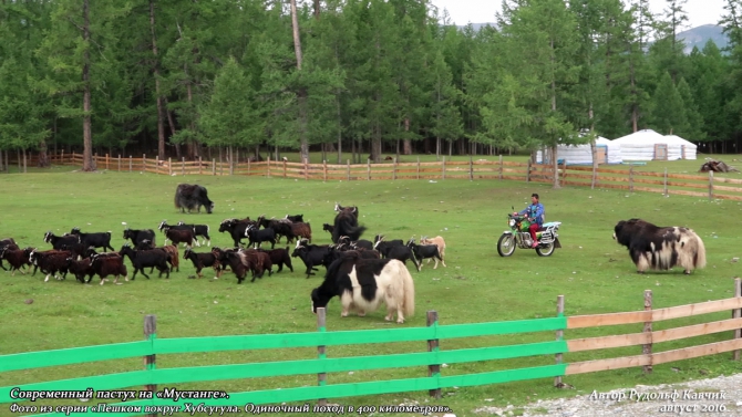 Часть 8. «Пешком вокруг Хубсугула. Одиночный поход в 400 километров». (Путешествия, Рудольф Кавчик, монголия)