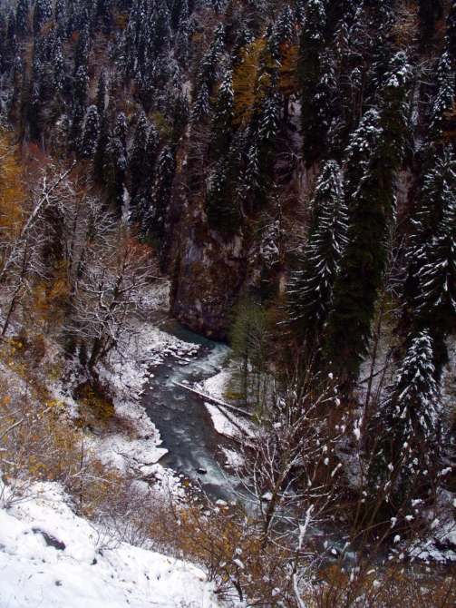 Из абхазской тетради...