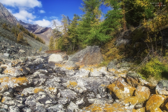 Свежие карточки осеннего Алтая (Горный туризм, алтай, фото)