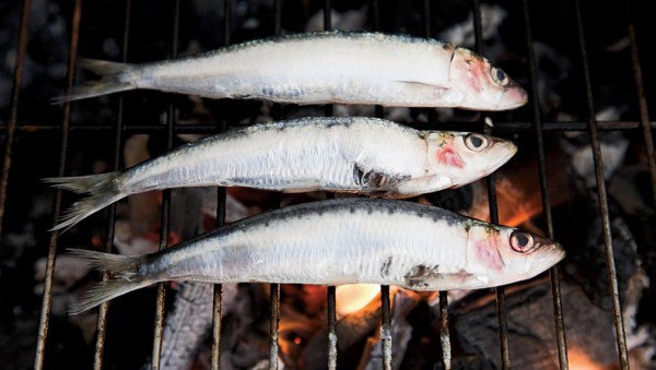 Правила вегетарианской и веганской диет для спортсменов (Скалолазание, диеты, питание, вегетарианство, алекс хоннольд)