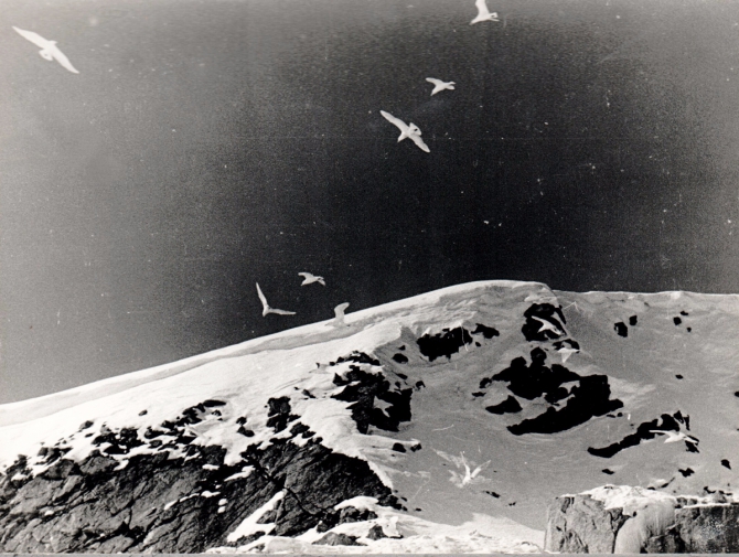 Вызов Белому безмолвию. (Путешествия)