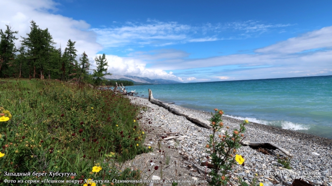 Часть 9. «Пешком вокруг Хубсугула. Одиночный поход в 400 километров». (Путешествия, Рудольф Кавчик, монголия, дорога, маршрут, западный берег Хубсугула)