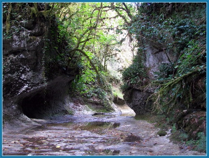 Из абхазской тетради...