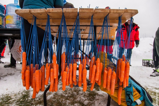 неМартовский заяц 2017 (Скайраннинг, Федерация Альпинизма СПб, red fox, г/к Игора)