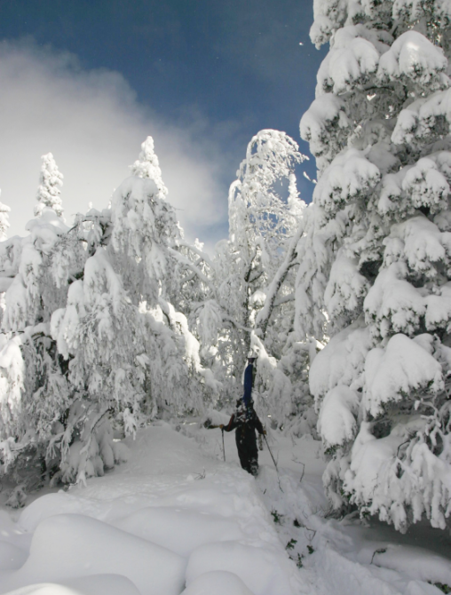 Итоги тестирования: Брюки трекинговые Rowan O-Tex. Куртка Selin O-Tech Soft Shell.