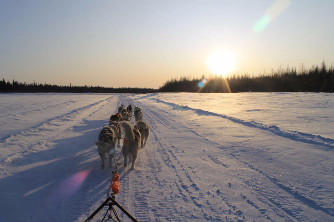 Экспедиция на собачьих упряжках по Ямало-Ненецкому автономному округу (Туризм, YamalQuest2017, Ямальская экспедиция, собачьи упряжки)