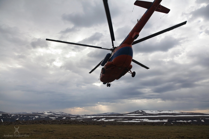 Хрустальный пик-2016. Социальный проект. Путоранский снежный баран. Познать и сохранить! (Туризм, мы в обществе, социальный проект в outdoor, риск.ру, события, горы, толстороги)