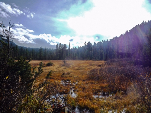 Тёплые воспоминания о Байкале (Путешествия, путешествия, пик черского, слюдянка, листвянка, ольхон)