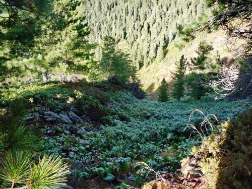 Тёплые воспоминания о Байкале (Путешествия, путешествия, пик черского, слюдянка, листвянка, ольхон)