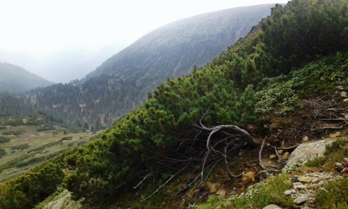 Тёплые воспоминания о Байкале (Путешествия, путешествия, пик черского, слюдянка, листвянка, ольхон)