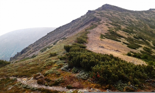 Тёплые воспоминания о Байкале (Путешествия, путешествия, пик черского, слюдянка, листвянка, ольхон)