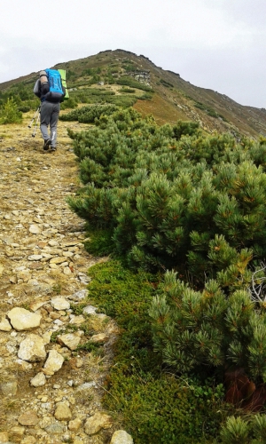 Тёплые воспоминания о Байкале (Путешествия, путешествия, пик черского, слюдянка, листвянка, ольхон)