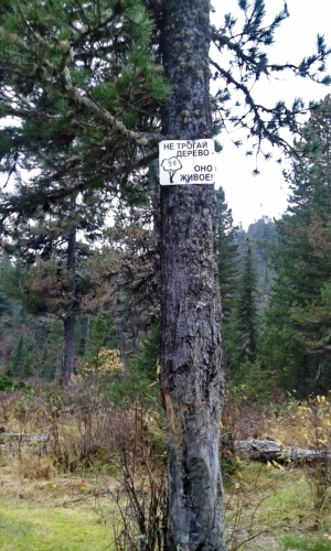 Тёплые воспоминания о Байкале (Путешествия, путешествия, пик черского, слюдянка, листвянка, ольхон)