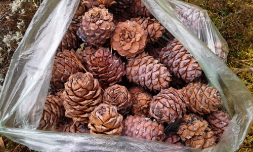 Тёплые воспоминания о Байкале (Путешествия, путешествия, пик черского, слюдянка, листвянка, ольхон)