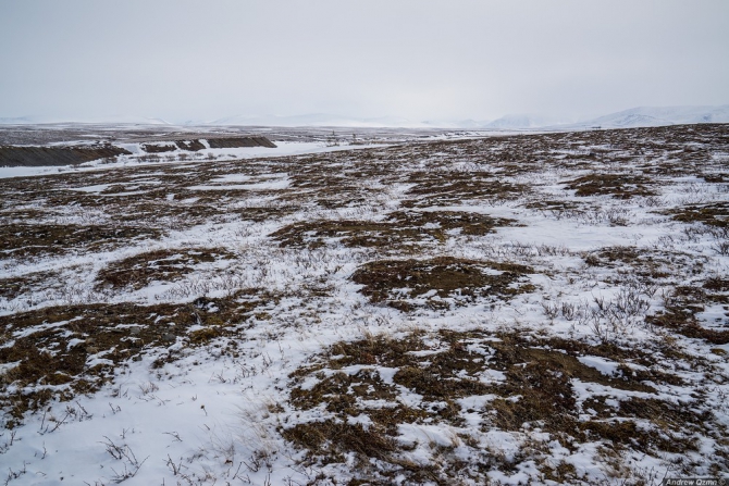 Снег и Ветер (выбери любое, Путешествия)
