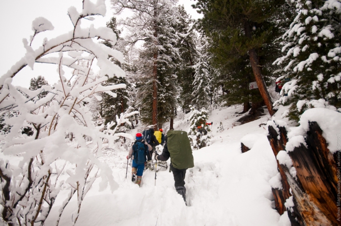 Новосибирские сборы в Актру — взгляд изнутри (Альпинизм, горы, альпинизм, альпинисты, альплагерь, алтай, инструктора)