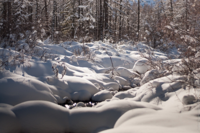 Новосибирские сборы в Актру — взгляд изнутри (Альпинизм, горы, альпинизм, альпинисты, альплагерь, алтай, инструктора)