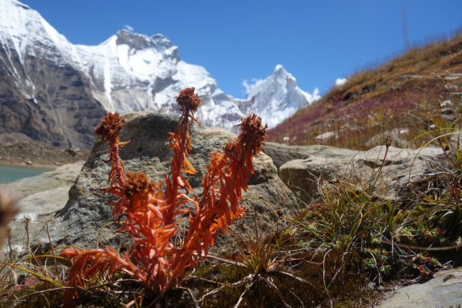 Талай Сагар. Просто красивая гора... (Альпинизм, нилов, головченко, григорьев, альпинизм, экспедиция, фаис москвы, nilov, golovchenko, grigoriev)