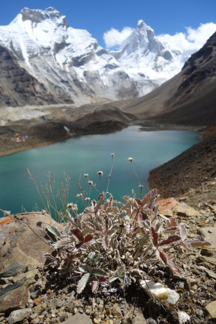 Талай Сагар. Просто красивая гора... (Альпинизм, нилов, головченко, григорьев, альпинизм, экспедиция, фаис москвы, nilov, golovchenko, grigoriev)