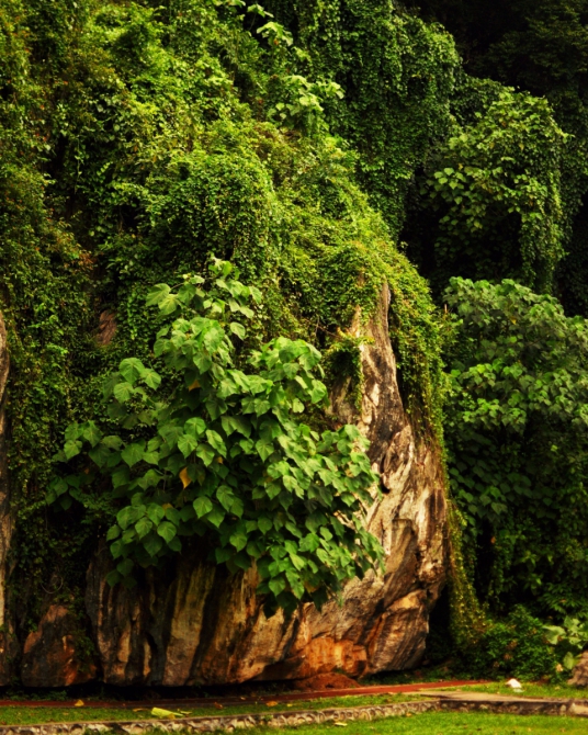 Немного о скалолазании в Малайзии. Batu Caves. (Скалолазание, Малайзия Скалолазание в Малайзии Batu Caves Пещеры Бату)