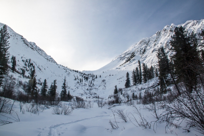 Кое-что про МЧС, лавины и семерых чудиков в Саянах... (Туризм, тунки, саяны, лавина, грузинская страховка)