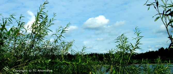 Река ВАГА, лето (фотопортрет, спас, мчс, карелия, закаты, природа, скалы, пейзажи, водный туризм)