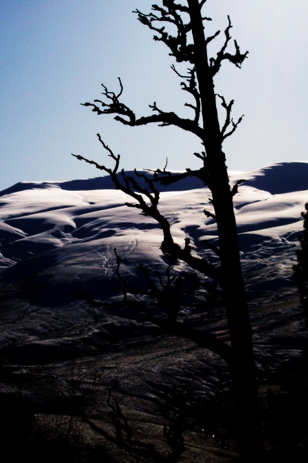 У вас за окном снег? Сочувствую... А мы тут скалами балуемся!!! (Скалолазание, gekko, кравченко, 7с+ project, лаго-наки)