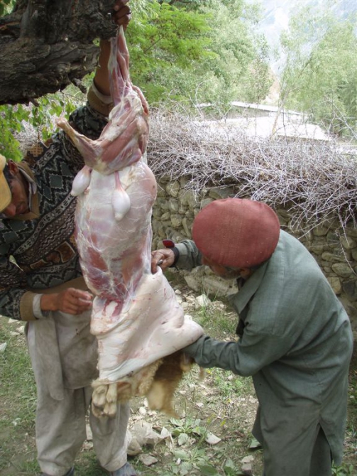 Пакистанский дневник 2007 (продолжение и окончание, Альпинизм)