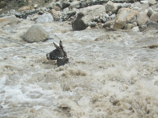 Назидание (Путешествия, бродский, пакистан, азия)