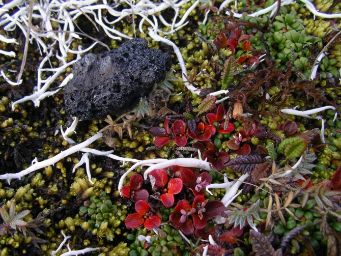 Камчатка-2006 (Путешествия, фото, ключевская группа вулканов)