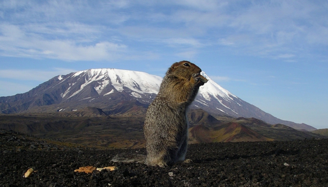 Камчатка-2006 (Путешествия, фото, ключевская группа вулканов)