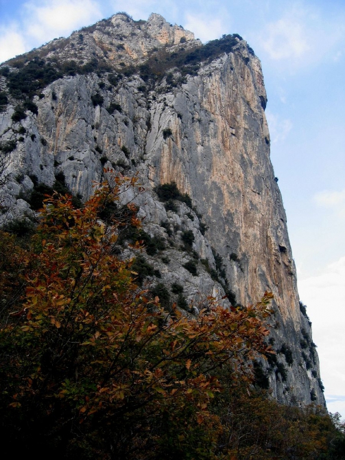 Пикколо Даин (dav-club-russland)