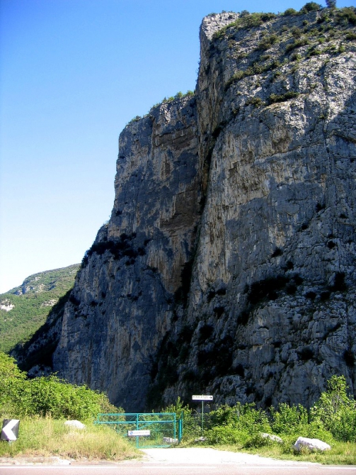 Пикколо Даин (dav-club-russland)