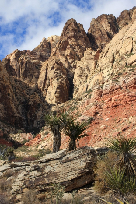 Red Rocks, Nevada и оооооченьмногобуквпроамерикууууу....... (Альпинизм, рэд рок, лас вегас, сша, невада)
