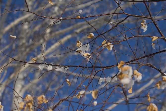 Пора делиться. Магнитогорск. (Ски-тур, ски тур)