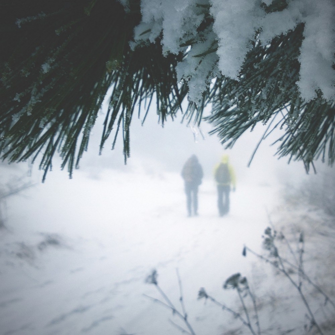 Первый спидфлай-фест в Крыму (Воздух, спидфлаинг, деев, фестиваль, speedflying, redfox, SwingParagliders)