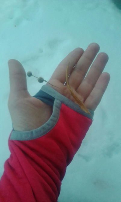 Тест пуловера спортивного Milena O-Stretch Light (Туризм, тест-команда, снаряжение, одежда, термобелье)