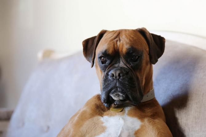 Ливиньо: склоны ждут! (Бэккантри/Фрирайд, горы, курорт, бродим мы по краю, ходим мы по свету, италия, кататься-кататься, фрирайд)