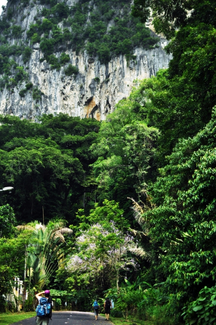 Самый лучший скалолазный район Малайзии - Букит Такун (Bukit Takun, Скалолазание, Малайзия Скалолазание в Малайзии Букит Такун Bukit Takun)