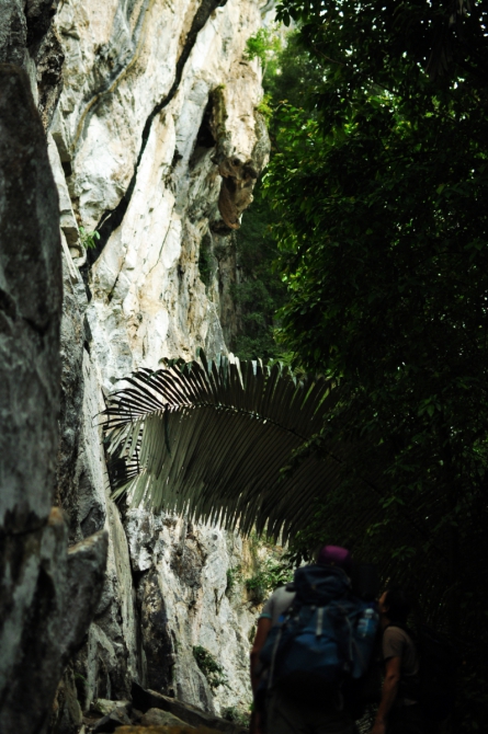 Самый лучший скалолазный район Малайзии - Букит Такун (Bukit Takun, Скалолазание, Малайзия Скалолазание в Малайзии Букит Такун Bukit Takun)