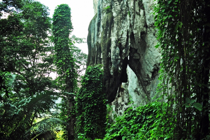 Самый лучший скалолазный район Малайзии - Букит Такун (Bukit Takun, Скалолазание, Малайзия Скалолазание в Малайзии Букит Такун Bukit Takun)