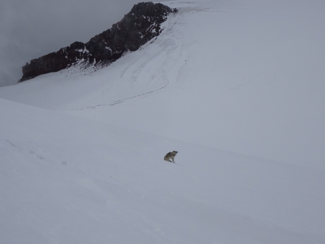 Кармадон. Казбек с севера в сентябре. (Горный туризм)